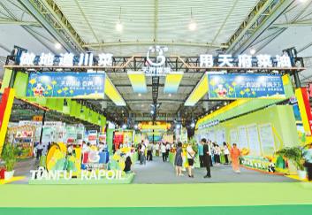 推动川油飘香四海  “天府菜油”引领四川粮油产业加速崛起