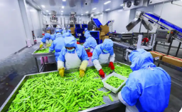 因地制宜 各展所长 黑龙江农业产业发展活力强势头旺