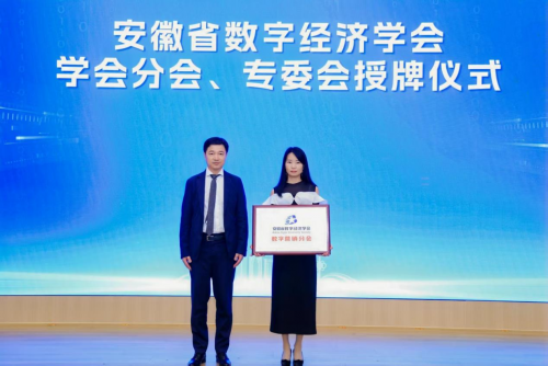 安徽数字经济学会数字营销分会盛大揭牌，马程女士任首任会长