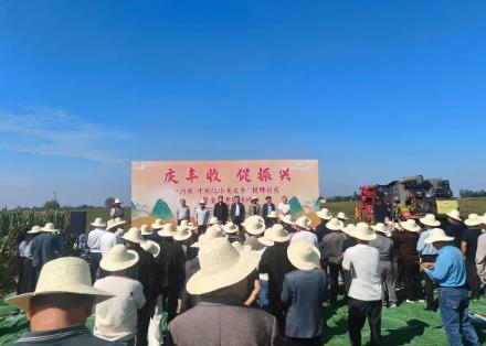 “河南·邓州红小米之乡”授牌 庆丰收 促振兴 金秋喜开镰