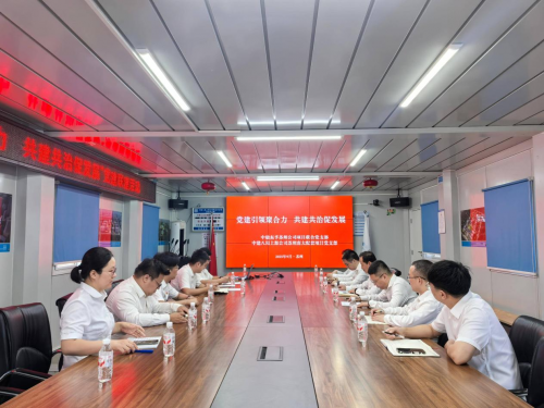 党建引领聚合力，共建共治促发展