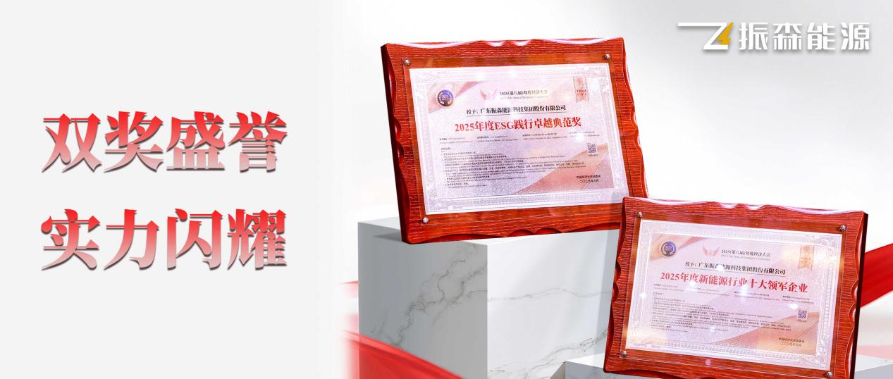 振森能源荣膺“十大领军企业”与“ESG践行卓越典范奖”！