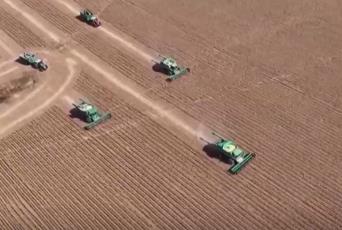 希望的田野满满“科技范” 智慧农业绘就千里沃野好“丰”景