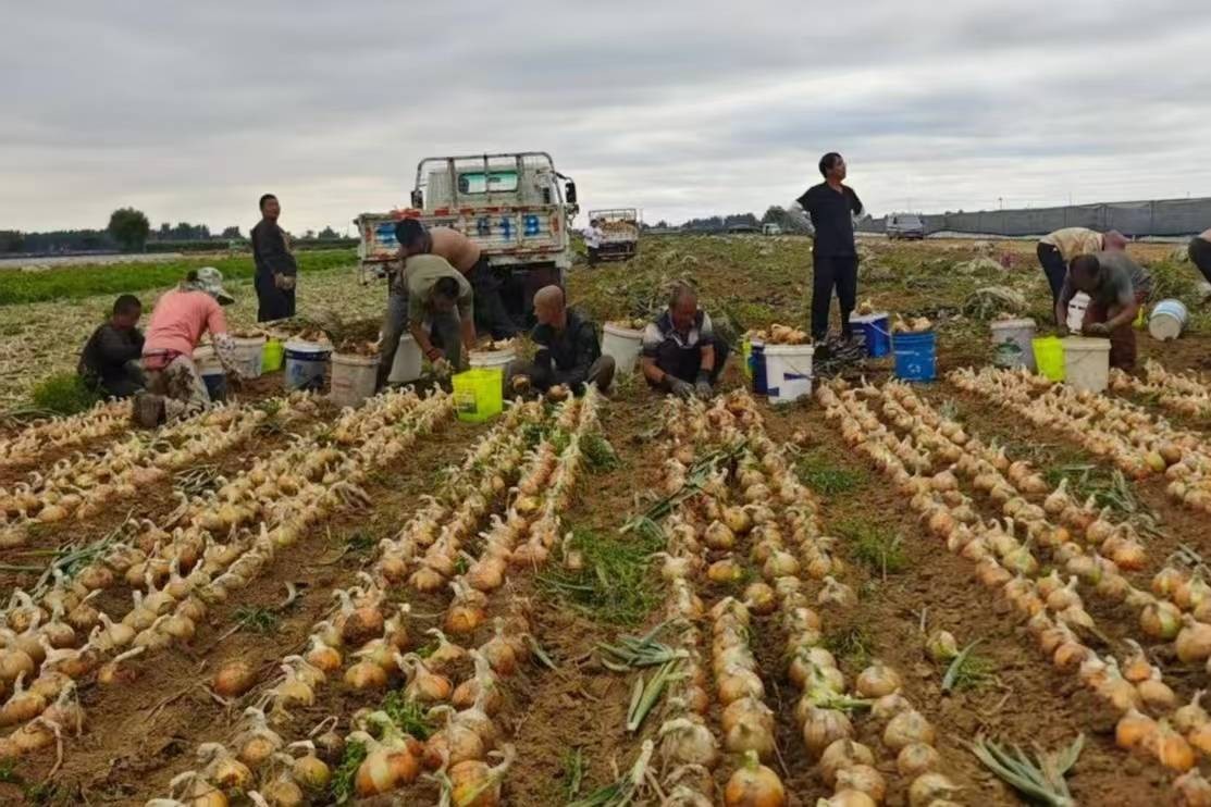 开辟连锁超市助农“新范式”，家家悦与农户实现双向奔赴