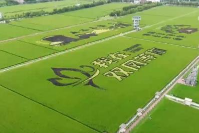 “丰收消费”打造农文旅融合新场景、新业态 打开田间地头增收新空间