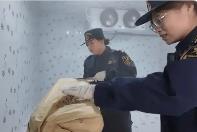 黑龙江逊克口岸迎来首批冰鲜水产品