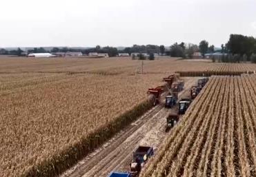 丰收在望！“科技当家”玉米产量稳步攀升 “梨树模式”让黑土地焕发生机