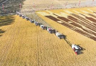 黑龙江省农作物耕种收综合机械化率持续保持在99%以上 多年稳居全国首位