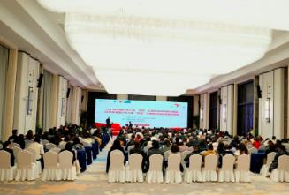 2025年全国少年儿童“双有”活动总结交流会举行