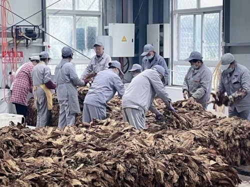 烟田践初心 淬炼促成长——武汉市东西湖区吴家山管理所（市场部）新员工赴十堰跟班锻炼心得