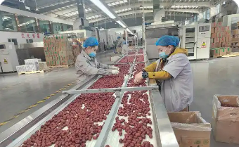 新疆：10条硬核措施支持发展农产品加工业