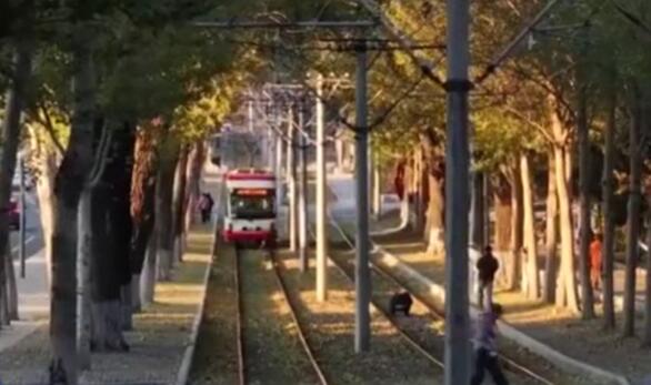 秋色宜人 带动文旅市场持续火热