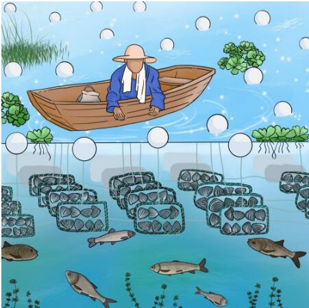 20251103135130854.jpg 7.jpg