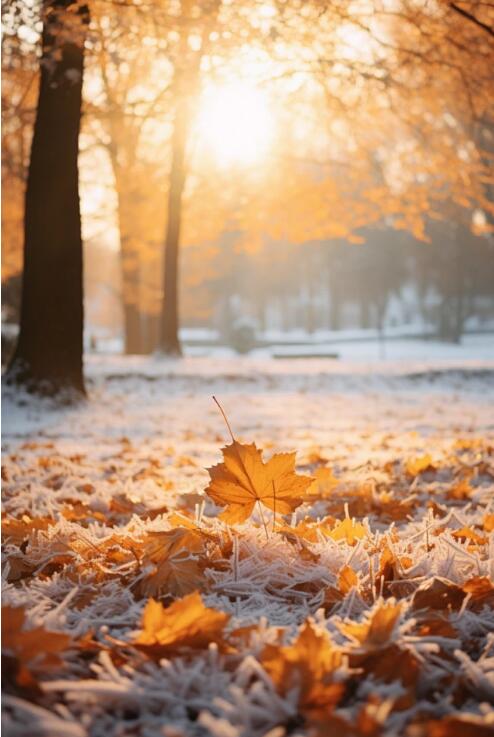 20251105115215928.jpg 20251105115215928.jpg