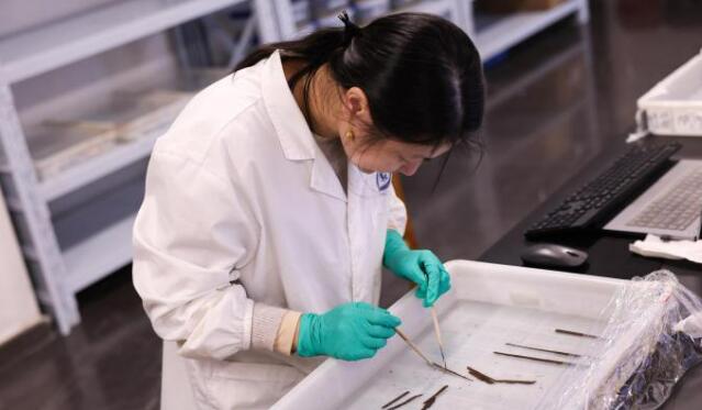 海昏侯墓考古发掘领队：首次发现秦汉时期全本《诗经》