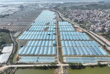 福建东山“兴村富民工坊”织就共富新图景