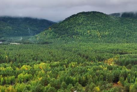 黑龙江：厚植高质量发展绿色底色