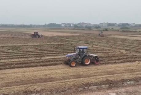 “新技术+新机械”助力播栽 夯实来年丰产丰收基础