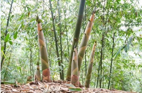 20251112123300260.jpg 2.jpg