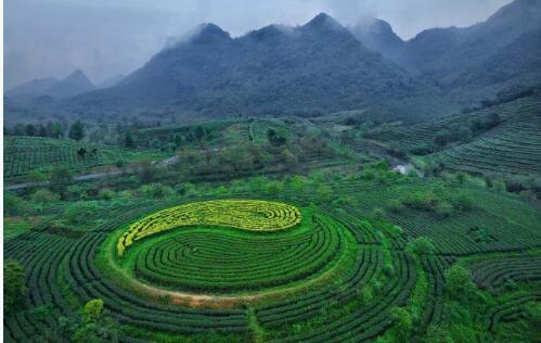 20251112123337234.jpg 7.jpg