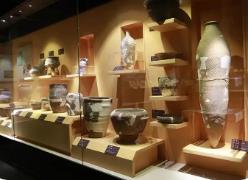 走进藏在高校里的博物馆