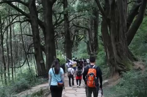 “冰雪+补贴”“彩林+温泉”“秋假+研学”齐发力 文旅市场激荡消费新活力