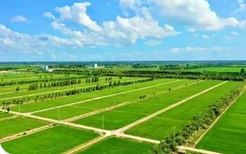 上海崇明：擦亮绿色农业“金字招牌”