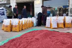 争分夺秒保秋粮、稳丰收