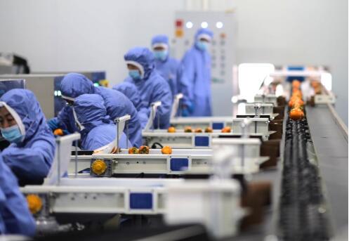 20251124184345989.jpg 2.jpg