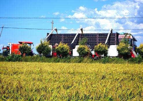 20251124184357951.jpg 3.jpg