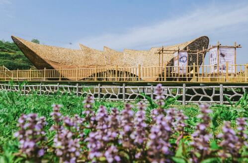 20251124184435867.jpg 8.jpg