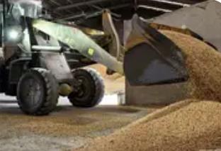 护航“三秋”生产 河南多地积极行动