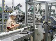 今年前10月福建婴儿纸尿出口领跑全国 企业投资扩产迎机遇