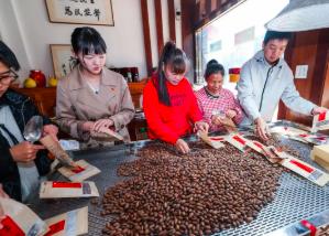 浙江诸暨：党建引领打造香榧之乡共富产业链