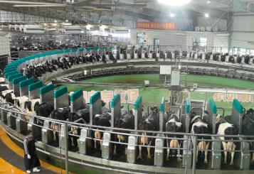 黑龙江省印发方案 全链条监管农产品质量