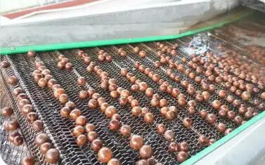 小坚果成就大产业 广东阳春将“绿色家底”转化为发展优势