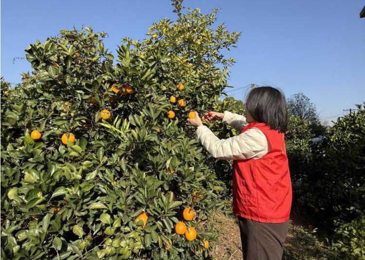 20251127142523599.jpg 20251127142523599.jpg