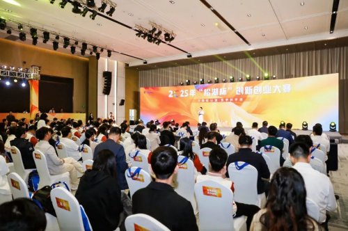 十年锻造“创新雨林”！2025年“松湖杯”创赛再结硕果