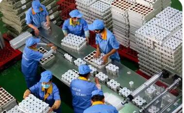 陕西渭南乳制品全产业链价值达200亿元