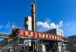 供需基本面边际改善 氯化铵市场迎来阶段性回暖