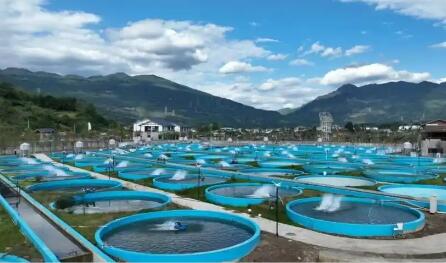 多点发力促转型 激发产业新动能 四川渔业绘就高质量发展新图景