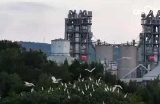 前11个月新兴产业持续壮大 智能设备制造业销售收入同比增长28.2%