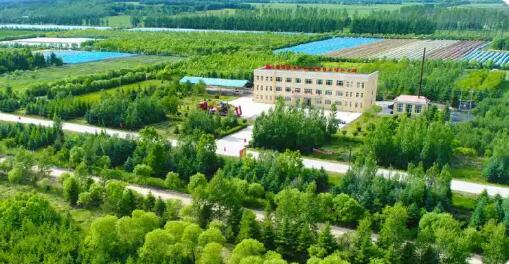 龙江森工集团深耕森林农业“责任田” 托牢粮食安全“压舱石”