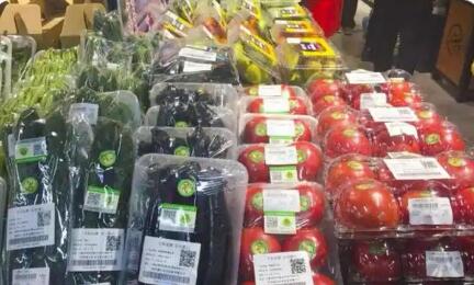 甘肃酒泉让“甘味”农产品走向全国迈向世界