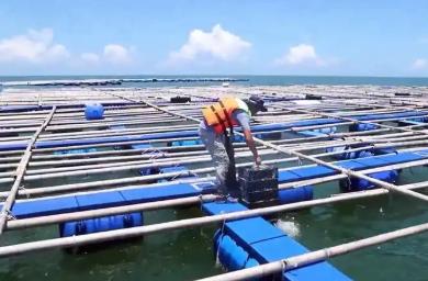 广东省农业农村厅：已累计建成重力式深水网箱7498个，居全国第一