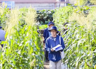 广东有“种”！种业振兴“五年见成效”创新实践成绩单来了