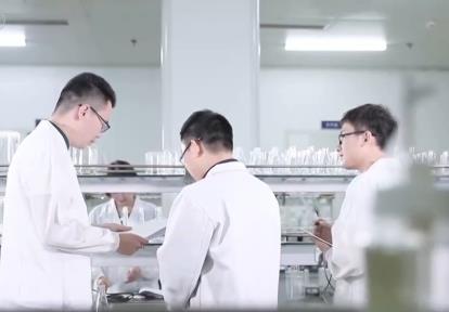 前11个月我国服务业发展持续向好