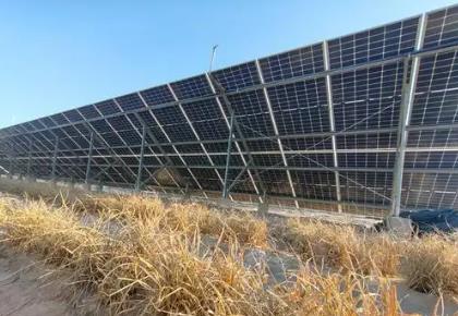 “光伏+”打通盐碱地多元化利用路径