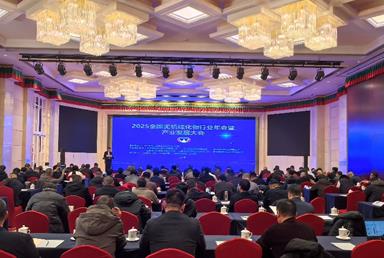 无机硅化物行业发展态势稳中向好