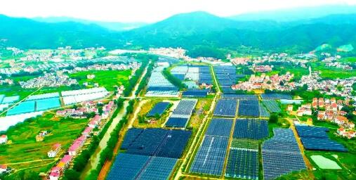 江西省赣州市于都县富硒产业铺就乡村振兴黄金路